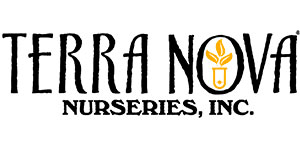 Terra Nova Terra Nova