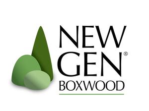 NewGen Boxwood