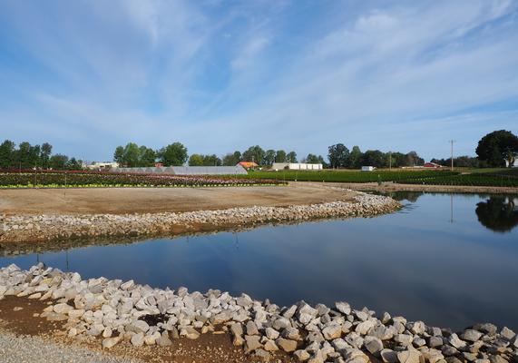 Irrigation Pond