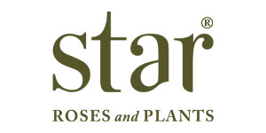 Star Roses and Plants