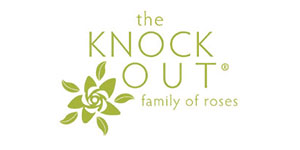 Knock Out® Roses Knock Out® Roses