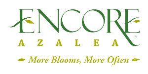 Encore® Azalea Encore® Azalea